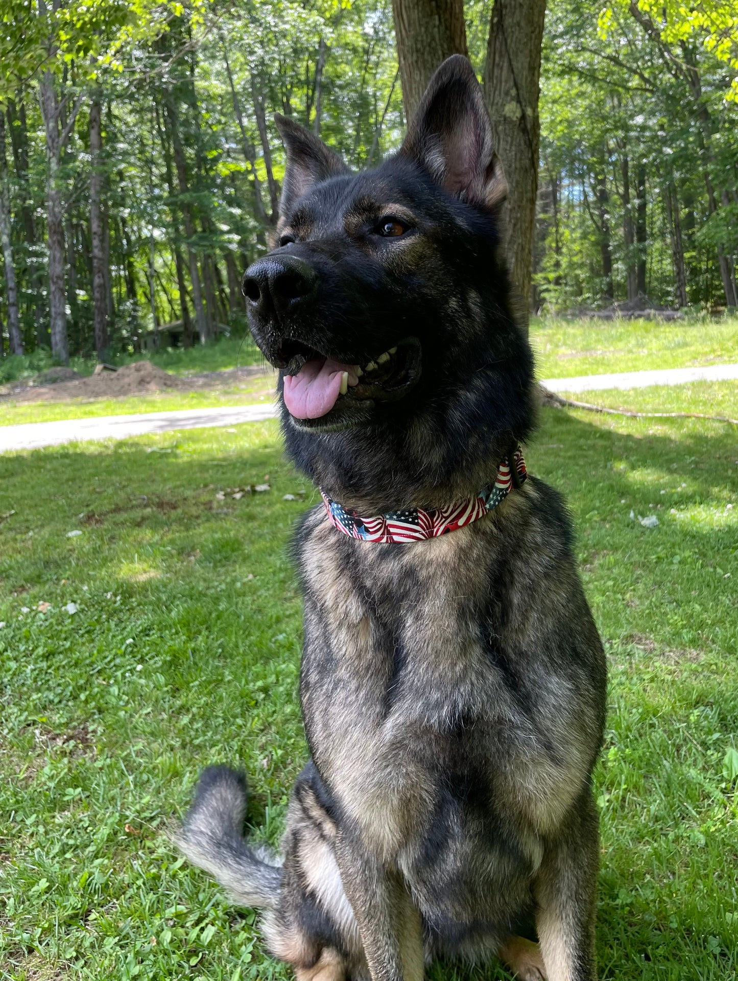 Stars & Stripes Collar