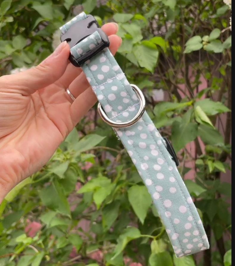 Spotted Aqua Collar